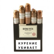  Buena Vista Araperique Robusto - 5 