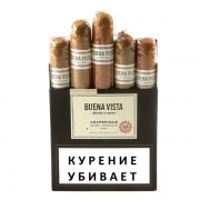  Buena Vista Araperique Short Robusto - 5 