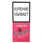  Cariba Wood Tip Strawberry