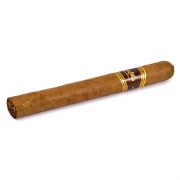  Flor De Oliva Churchill