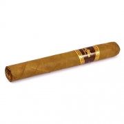  Flor De Oliva Toro