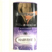    Harvest Black Currant - 30 