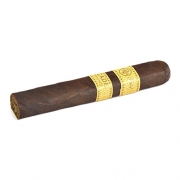  Rocky Patel Decade Robusto